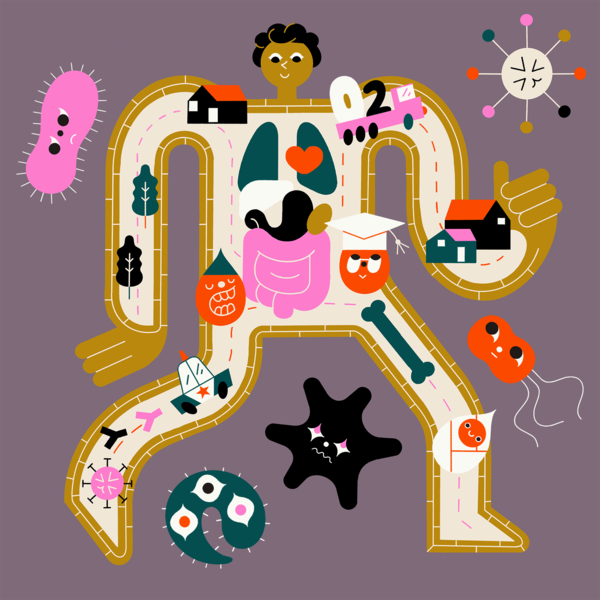 Человек-город, или Как устроен иммунитет