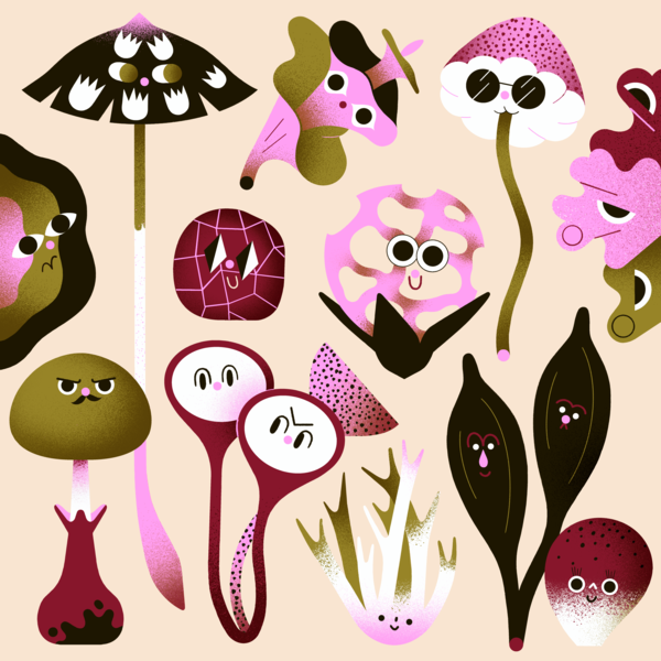 Гриб всемогущий. Что умеют супергерои на одной ножке